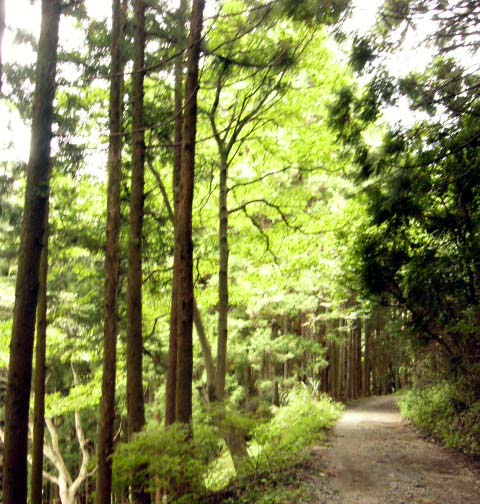 庭　リフォーム　横浜市