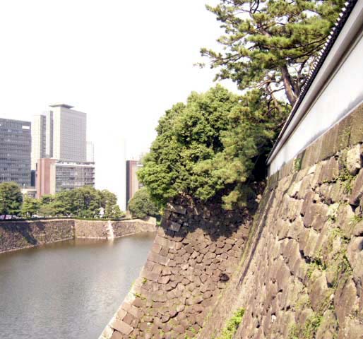 植木屋　藤沢