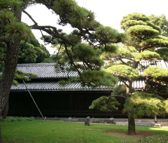 庭づくり 綾瀬
