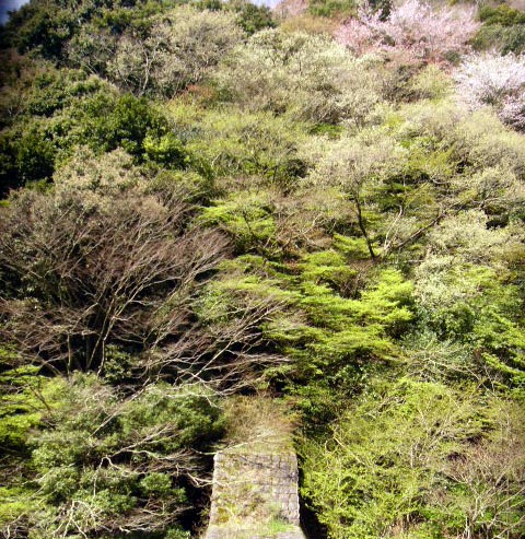 ガーデニング・湘南