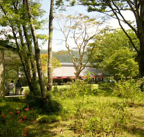 植木屋　藤沢