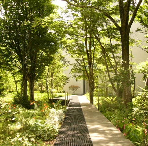 造園会社 藤沢