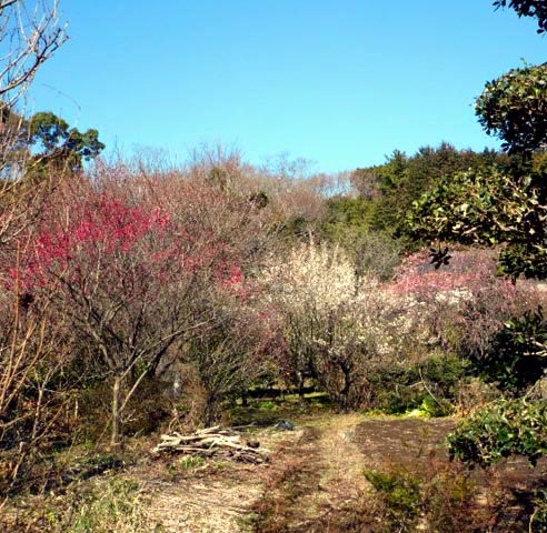 造園工事　横浜市