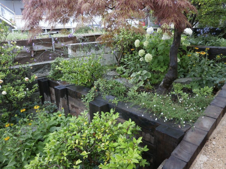 造園工事・植栽／横浜市／　法面を階段状花壇へ　濃緑のシェードガーデン