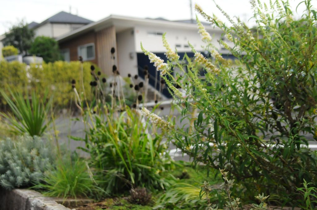 植木と宿根草の植栽