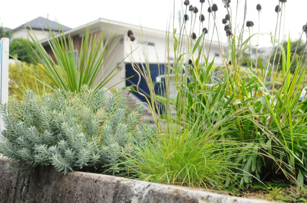 植木と宿根草の植栽