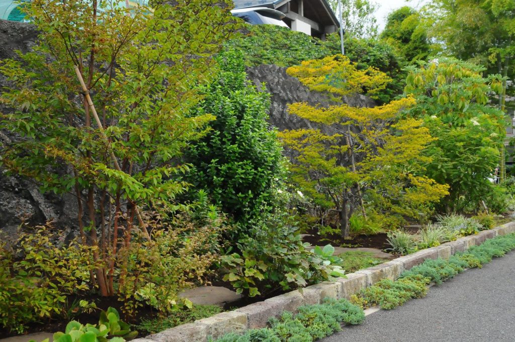 造園工事・植栽／横浜市／　植木と宿根草の植栽・四季を感じる庭づくり