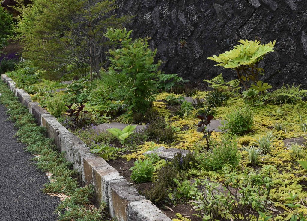 植栽