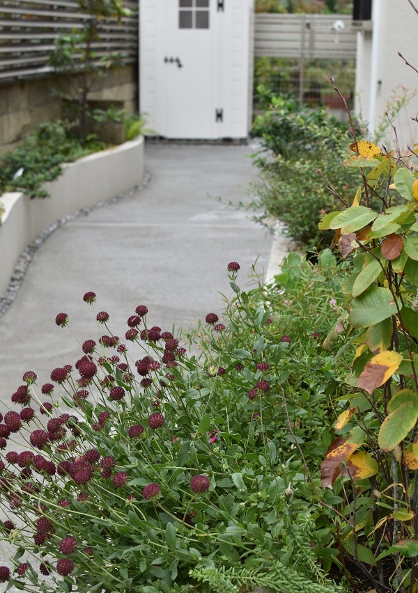 造園工事・植栽／川崎市／　曲線花壇の優しい空間