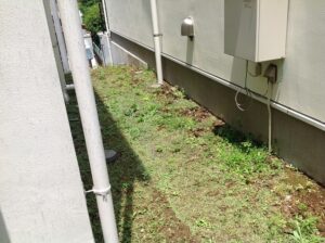 ビフォー