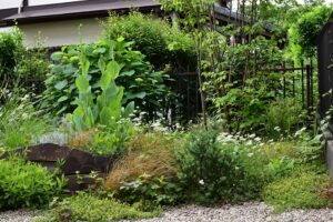 造園工事・植栽／横浜市／　植栽で雑草を抑えて美しい景色の庭へ