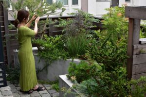 造園工事・植栽／横浜市／　緑と過ごす部屋と緑で潤う外観へ